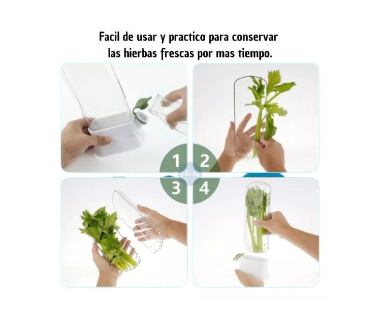 Miniatura 3 de Conservador de Hiervas y especie Grande